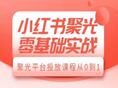小红书聚光零基础实战，聚光平台投放课程从0到1-玩备项目资源网