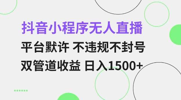抖音小程序无人直播 平台默许 不违规不封号 双管道收益 日入多张 小白也能轻松操作【仅揭秘】-玩备项目资源网