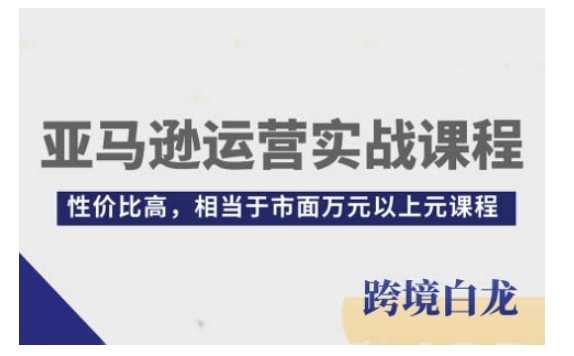 亚马逊运营实战课程，亚马逊从入门到精通，性价比高，相当于市面万元以上元课程-玩备项目资源网