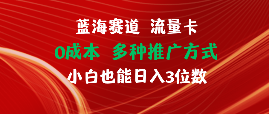 【站长实操】蓝海赛道 流量卡 0成本 小白也能日入三位数-玩备项目资源网