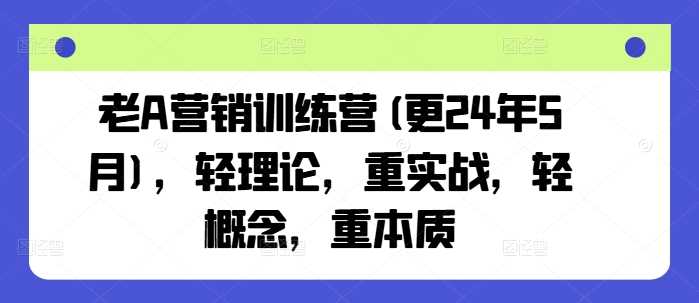 老A营销训练营(更24年12月)，轻理论，重实战，轻概念，重本质-玩备项目资源网