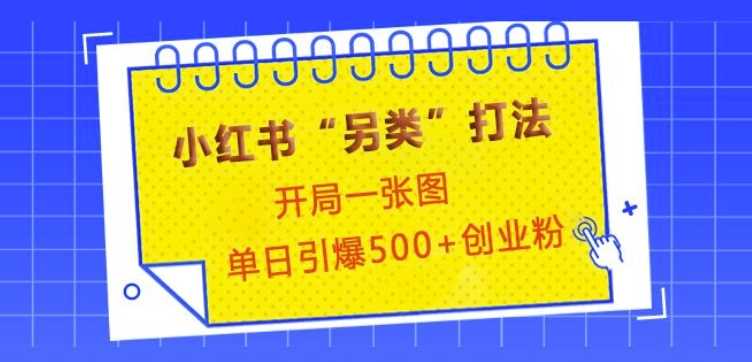 小红书“另类”打法，开局一张图，单日引爆500+精准创业粉【揭秘】-玩备项目资源网