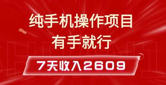 纯手机操作的小项目，有手就能做，7天收入2609+实操教程【揭秘】-玩备项目资源网