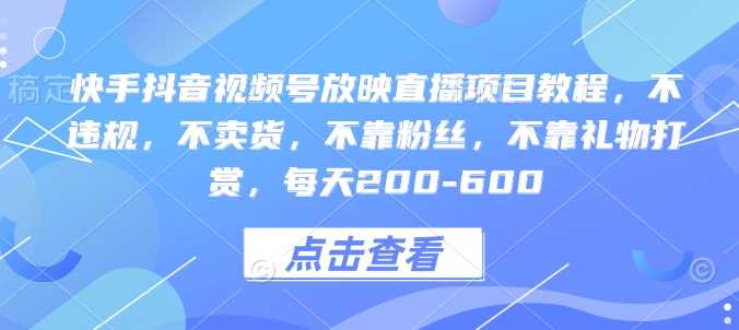 快手抖音视频号放映直播项目教程，不违规，不卖货，不靠粉丝，不靠礼物打赏，每天200-600-玩备项目资源网