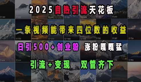 2025自热引流天花板，一条视频能带来四位数的收益，引流+变现双管齐下，日引500+创业粉，涨粉嘎嘎猛-玩备项目资源网