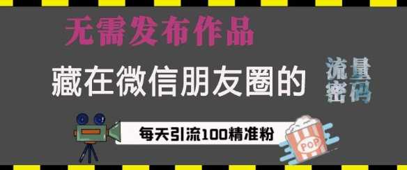 藏在微信朋友圈的流量密码，无需发布作品，单日引流100+精准创业粉【揭秘】-玩备项目资源网