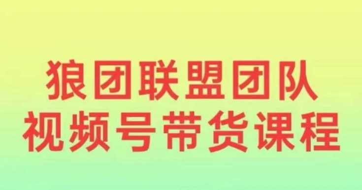 狼团联盟2024视频号带货，0基础小白快速入局视频号-玩备项目资源网