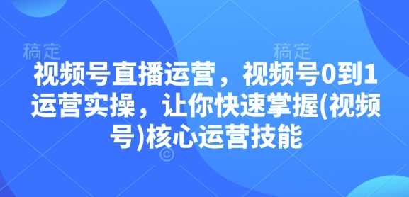 视频号直播运营，视频号0到1运营实操，让你快速掌握(视频号)核心运营技能-玩备项目资源网