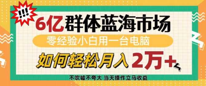 6亿群体蓝海市场，零经验小白用一台电脑，如何轻松月入过w【揭秘】-玩备项目资源网