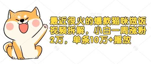 最近很火的爆款猫咪做饭视频拆解，小白一周涨粉2万，单条10万+播放(附保姆级教程)-玩备项目资源网