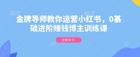 金牌导师教你运营小红书，0基础进阶赚钱博主训练课-玩备项目资源网