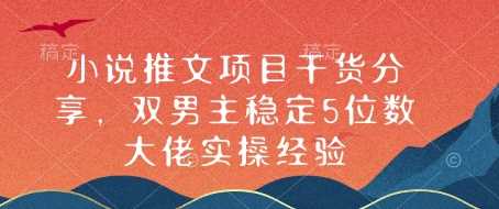 小说推文项目干货分享，双男主稳定5位数大佬实操经验-玩备项目资源网