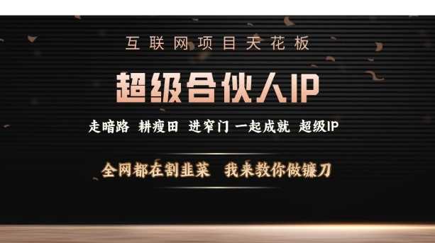 互联网项目天花板，超级合伙人IP，全网都在割韭菜，我来教你做镰刀【仅揭秘】-玩备项目资源网