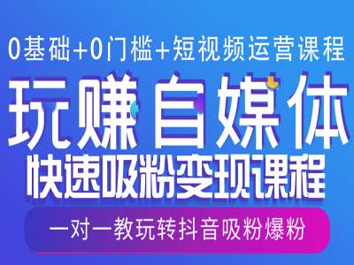 0基础+0门槛+短视频运营课程，玩赚自媒体快速吸粉变现课程，一对一教玩转抖音吸粉爆粉-玩备项目资源网