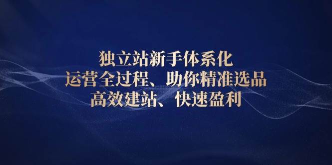 （13914期）独立站新手体系化 运营全过程，助你精准选品、高效建站、快速盈利-玩备项目资源网
