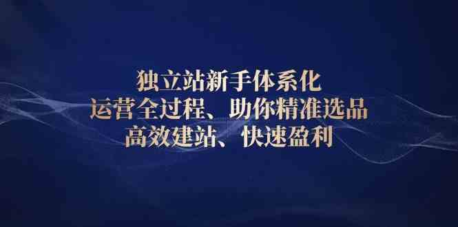 独立站新手体系化 运营全过程，助你精准选品、高效建站、快速盈利-玩备项目资源网