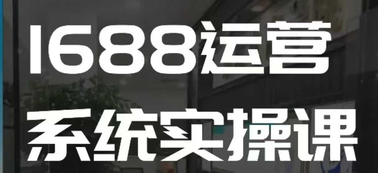 1688高阶运营系统实操课，快速掌握1688店铺运营的核心玩法-玩备项目资源网