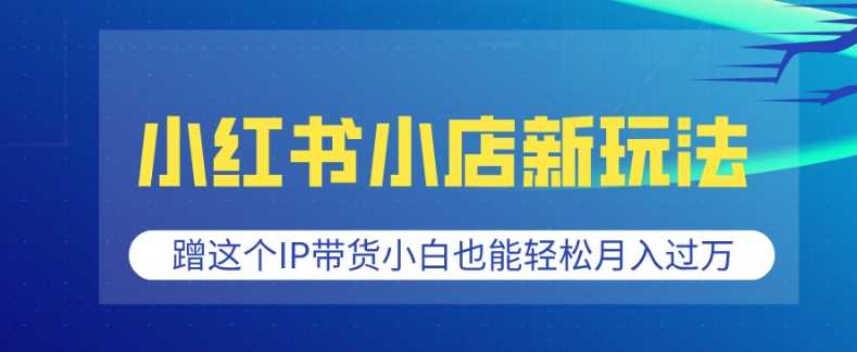 小红书小店新玩法，蹭这个IP带货，小白也能轻松月入过W【揭秘】-玩备项目资源网