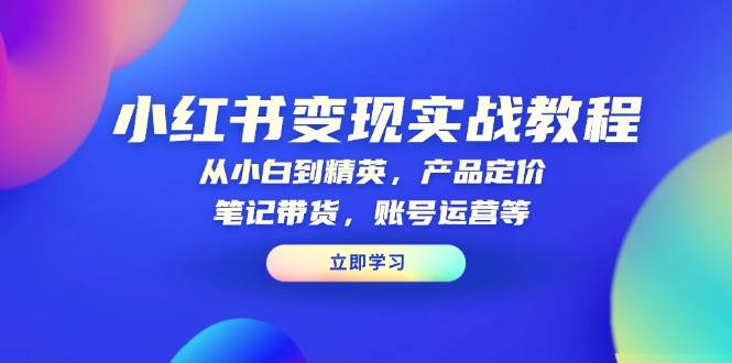 小红书变现实战教程：从小白到精英，产品定价，笔记带货，账号运营等-玩备项目资源网