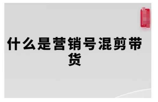 营销号混剪带货，从内容创作到流量变现的全流程，教你用营销号形式做混剪带货-玩备项目资源网