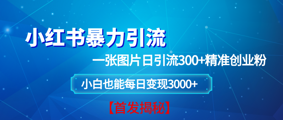 （13935期）小红书暴力引流法，一张图片日引 300+精准创业粉，每日稳定变现 3000+【揭秘】-玩备项目资源网