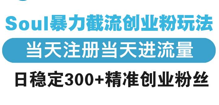 （13935期）Soul暴力截流创业粉玩法，当天注册当天进流量，日稳定300+精准创业粉丝-玩备项目资源网
