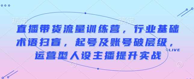 直播带货流量训练营，行业基础术语扫盲，起号及账号破层级，运营型人设主播提升实战-玩备项目资源网