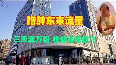 蹭胖东来流量，三天涨万粉，收益直接起飞-玩备项目资源网