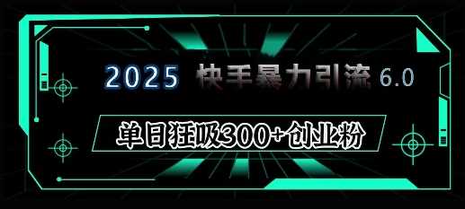2025年快手6.0保姆级教程震撼来袭，单日狂吸300+精准创业粉-玩备项目资源网