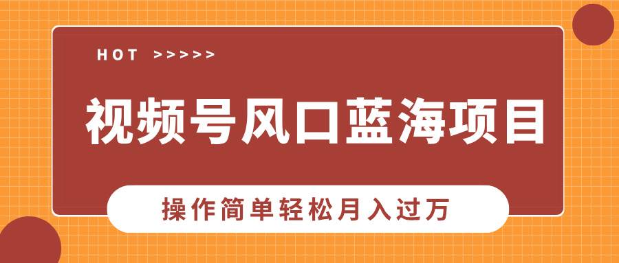（13945期）视频号风口蓝海项目，中老年人的流量密码，操作简单轻松月入过万-玩备项目资源网