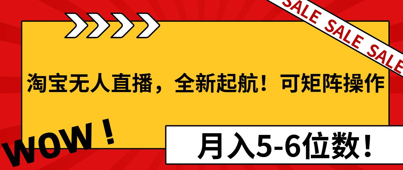 （13946期）淘宝无人直播，全新起航！可矩阵操作，月入5-6位数！-玩备项目资源网