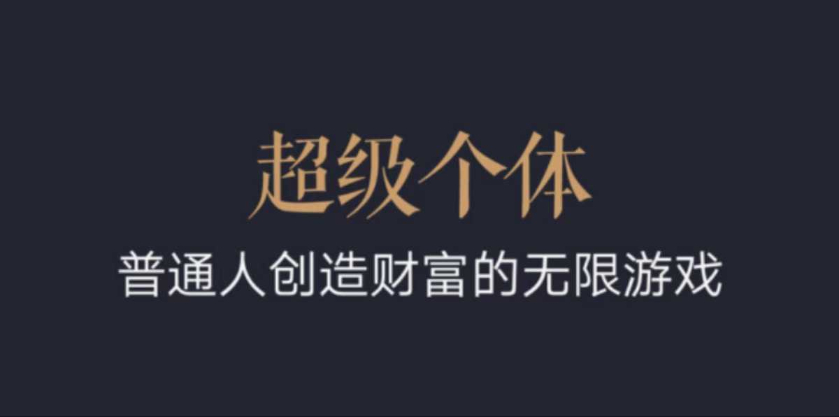 超级个体：2024-2025翻盘指南，普通人创造财富的无限游戏-玩备项目资源网