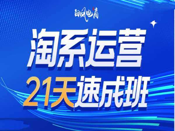 淘系运营21天速成班35期，年前最后一波和2025方向-玩备项目资源网