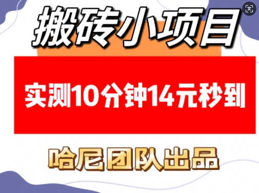 搬砖小项目，实测10分钟14元秒到，每天稳定几张(赠送必看稳定)-玩备项目资源网