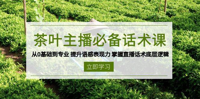 （13961期）茶叶 主播必备话术课 从0基础到专业 提升语感表现力 掌握直播话术底层逻辑-玩备项目资源网