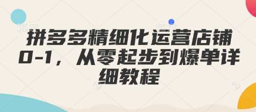 拼多多精细化运营店铺0-1，从零起步到爆单详细教程-玩备项目资源网