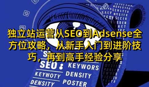 独立站运营从SEO到Adsense全方位攻略，从新手入门到进阶技巧，再到高手经验分享-玩备项目资源网