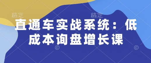 直通车实战系统：低成本询盘增长课，让个人通过技能实现升职加薪，让企业低成本获客，订单源源不断-玩备项目资源网