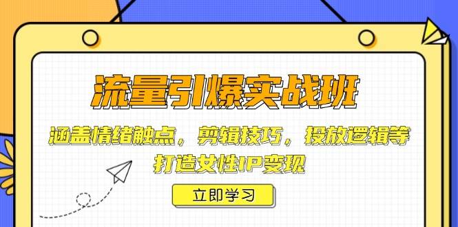 （14008期）流量引爆实战班，涵盖情绪触点，剪辑技巧，投放逻辑等，打造女性IP变现-玩备项目资源网