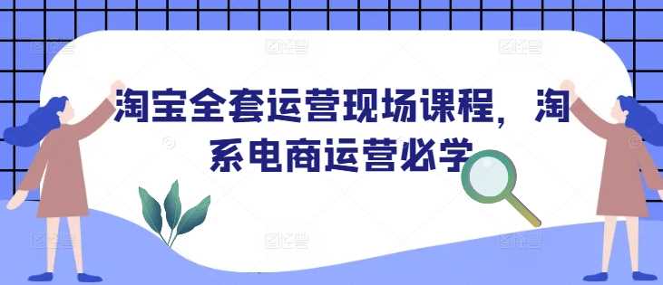 淘宝全套运营现场课程，淘系电商运营必学-玩备项目资源网