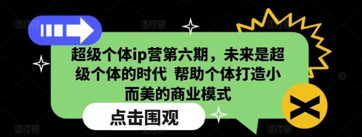 超级个体ip营第六期，未来是超级个体的时代  帮助个体打造小而美的商业模式-玩备项目资源网