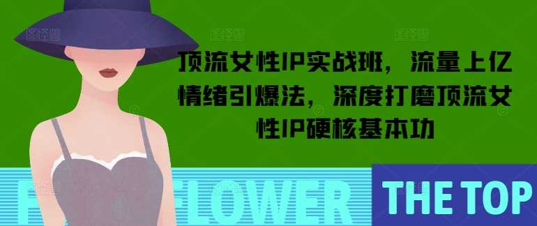 顶流女性IP实战班，流量上亿情绪引爆法，深度打磨顶流女性IP硬核基本功-玩备项目资源网
