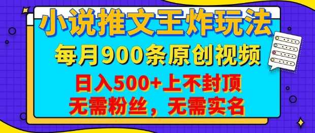 小说推文王炸玩法，一键代发，每月最多领900条原创视频，播放量收益日入5张，无需粉丝，无需实名【揭秘】-玩备项目资源网