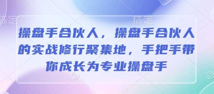 操盘手合伙人，操盘手合伙人的实战修行聚集地，手把手带你成长为专业操盘手-玩备项目资源网