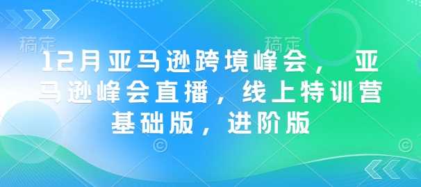 12月亚马逊跨境峰会， 亚马逊峰会直播，线上特训营基础版，进阶版-玩备项目资源网