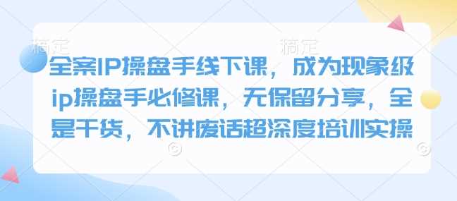 全案IP操盘手线下课，成为现象级ip操盘手必修课，无保留分享，全是干货，不讲废话超深度培训实操-玩备项目资源网