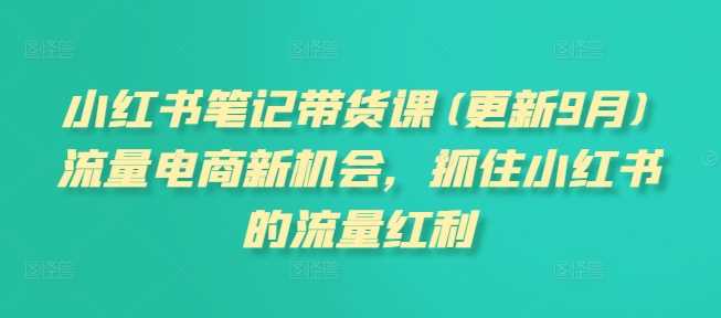 小红书笔记带货课(更新25年1月)流量电商新机会，抓住小红书的流量红利-玩备项目资源网