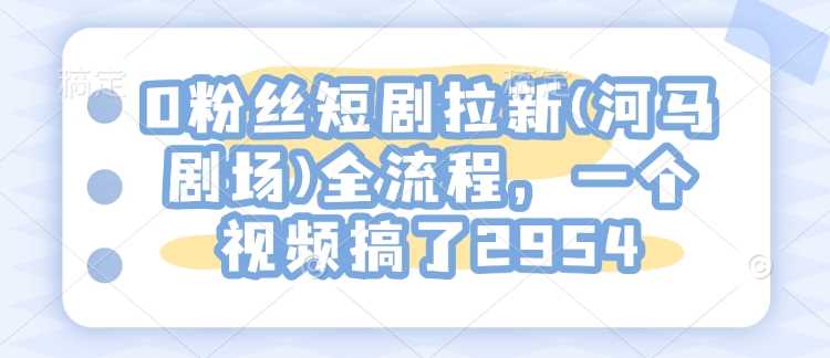 0粉丝短剧拉新(河马剧场)全流程，一个视频搞了2954-玩备项目资源网