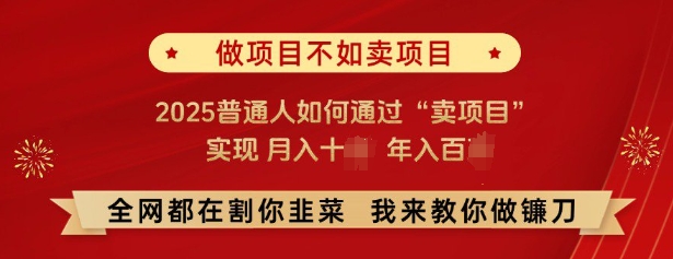 必看，做项目不如卖项目，2025普通人如何通过“卖项目”实现月入十个，年入百个-玩备项目资源网