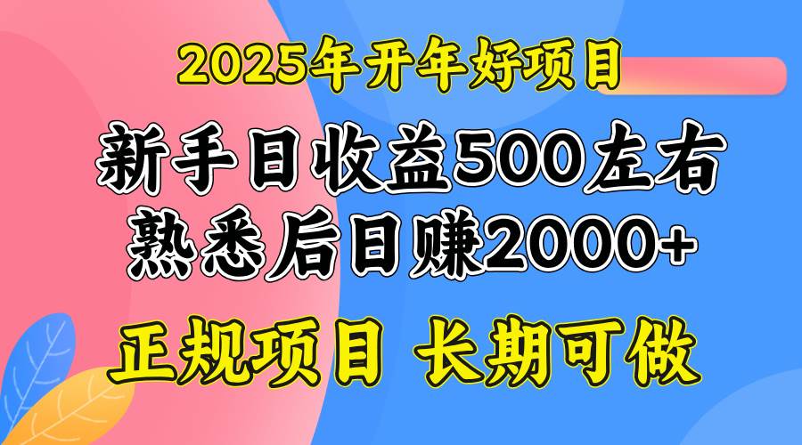 （14076期）2025开年好项目，单号日收益2000左右-玩备项目资源网